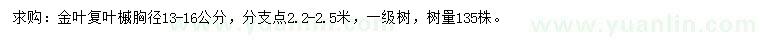 求購(gòu)胸徑13-16公分金葉復(fù)葉槭