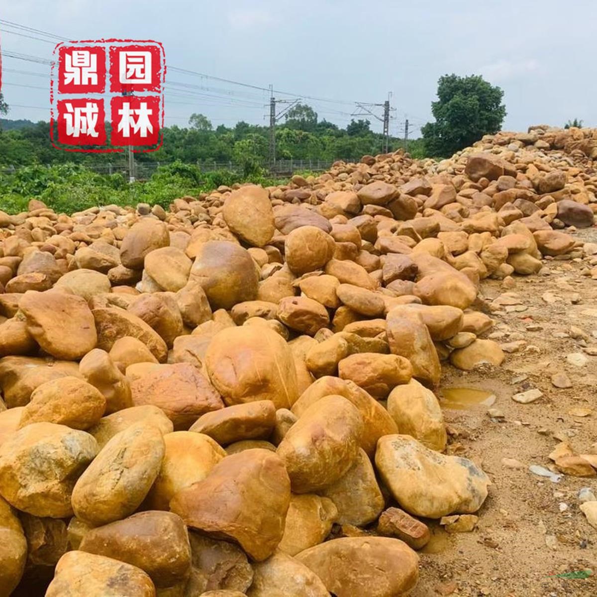 天然生態(tài)黃蠟石市政公園綠地用石水景瀑布山 河灘圍邊