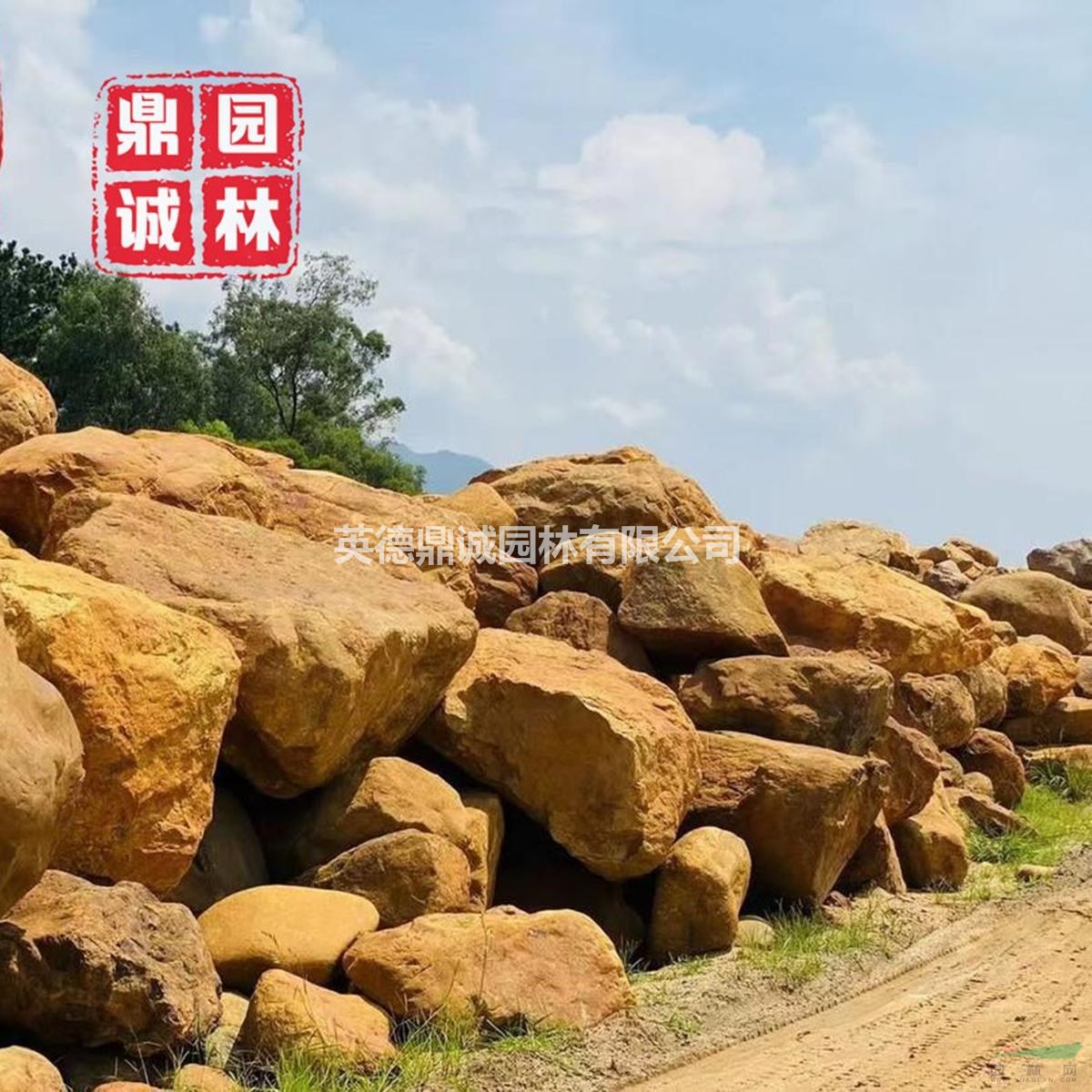 天然生態(tài)黃蠟石市政公園綠地用石一手貨源 歡迎前來(lái)咨詢(xún)