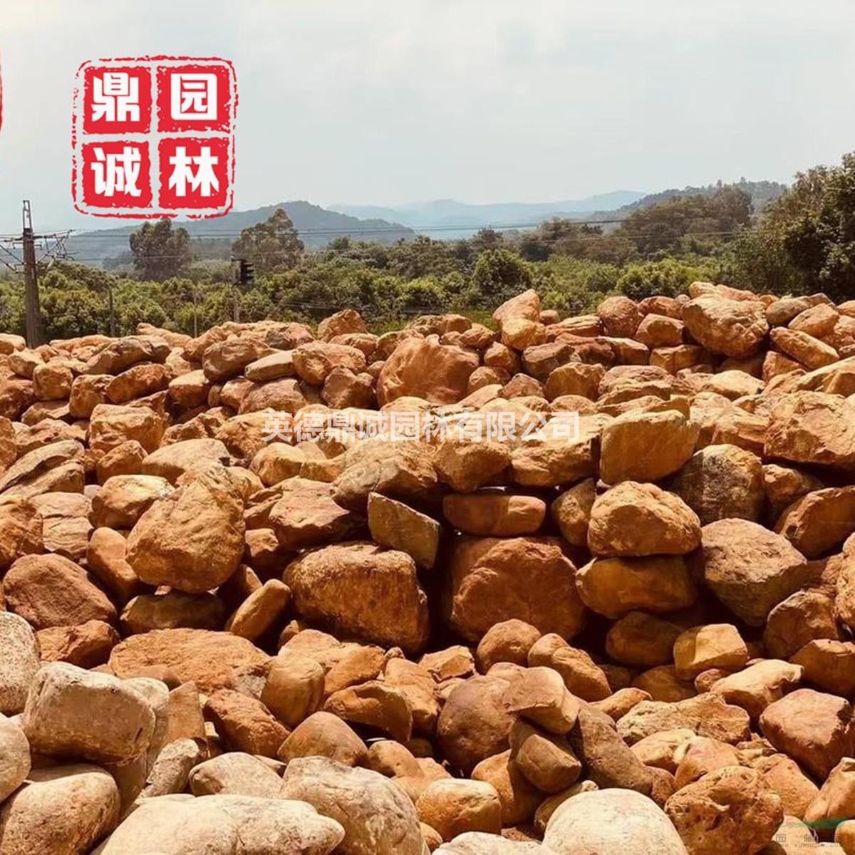 天然生態(tài)黃蠟石市政公園綠地用石一手貨源 歡迎前來(lái)咨詢(xún)