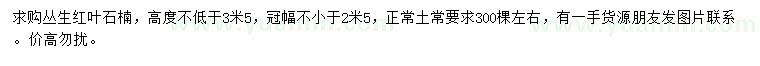 求購高3.5米以上叢生紅葉石楠
