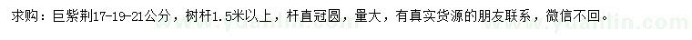 求購17、19、21公分巨紫荊