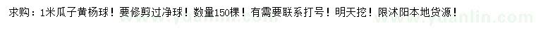 求購1米瓜子黃楊球