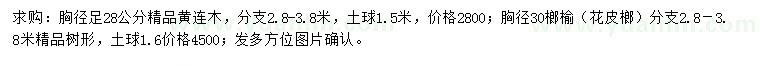 求購(gòu)胸徑28公分黃連木、胸徑30公分榔榆