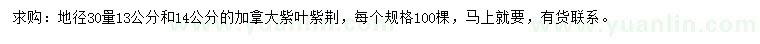 求購30量13、14公分加拿大紫葉紫荊