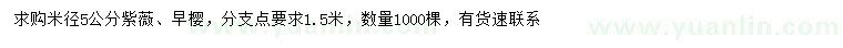 求購(gòu)米徑5公分紫薇、早櫻