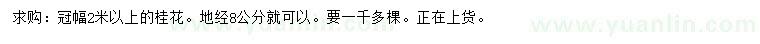 求購冠幅2米以上桂花