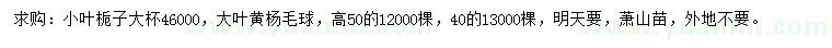 求購(gòu)高40、50公分小葉梔子、大葉黃楊球
