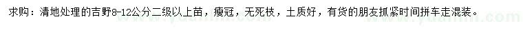 求購8-12公分吉野櫻
