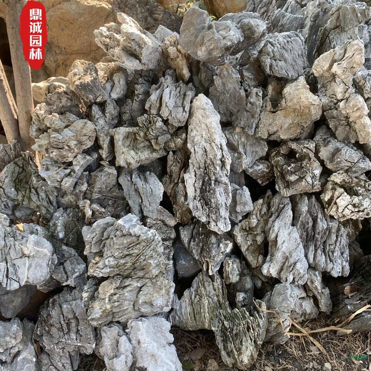 辦公室盆景山水英石造型景觀石草坪點綴石