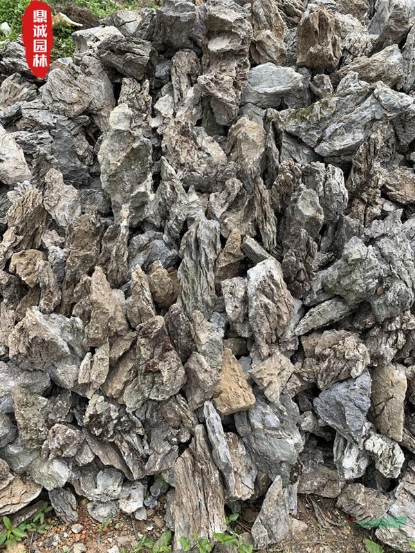 園林魚缸小號英石造型景觀石草坪點(diǎn)綴石