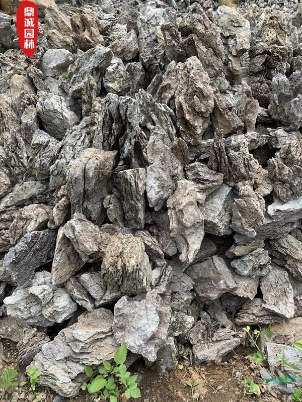 園林魚缸小號英石造型景觀石草坪點(diǎn)綴石