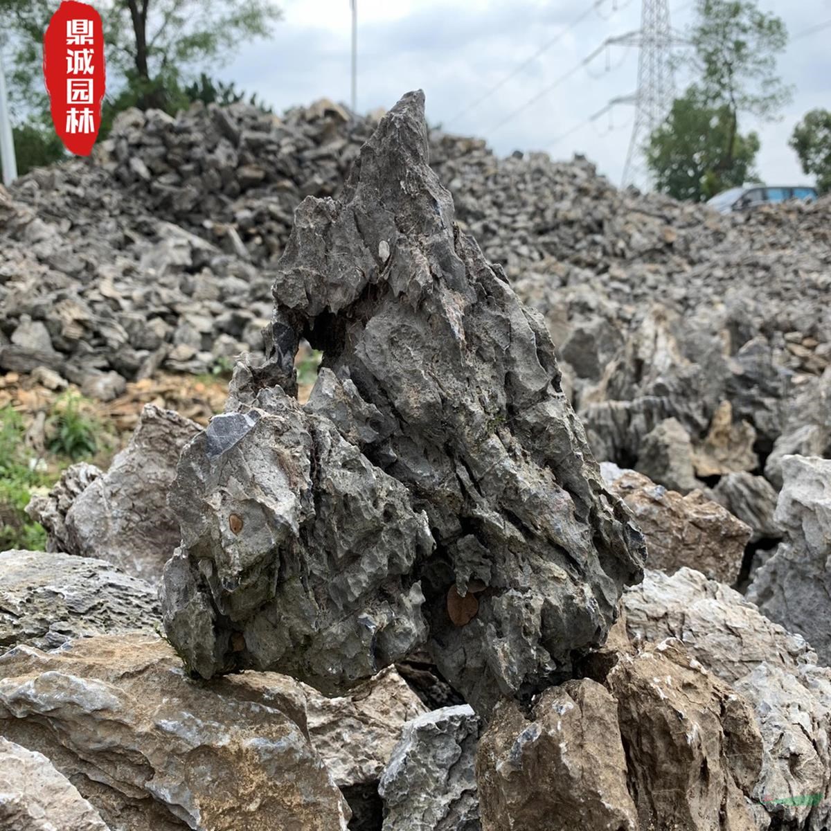 園林魚缸小號英石溫泉池設計造景圖片