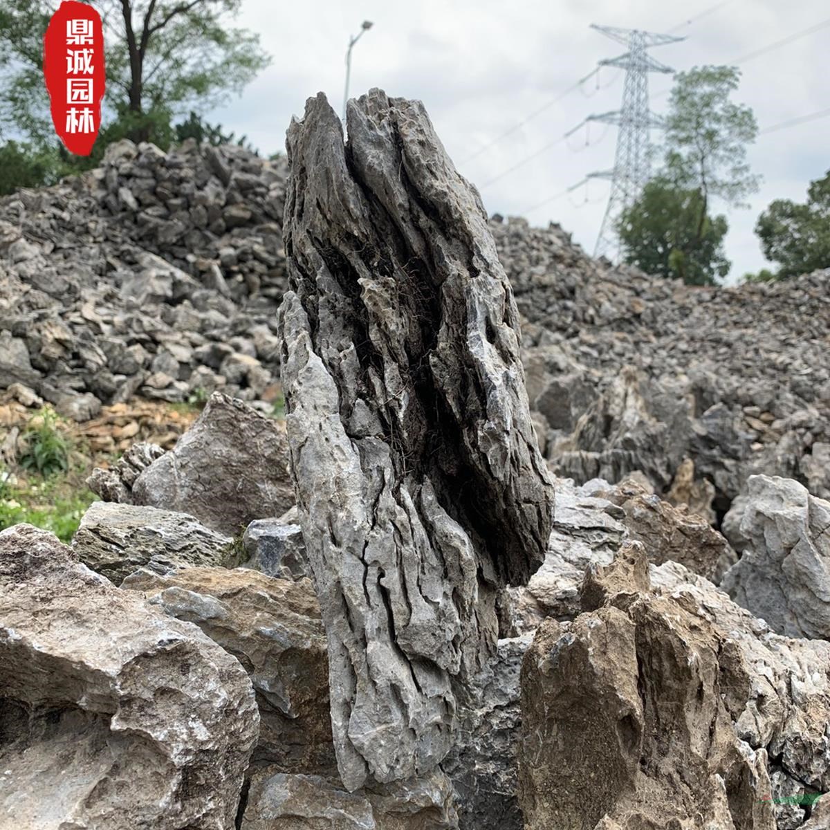 園林魚缸小號英石溫泉池設計造景圖片
