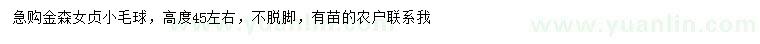 求購高45公分左右金森女貞球