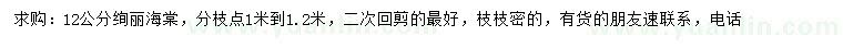 求購12公分絢麗海棠