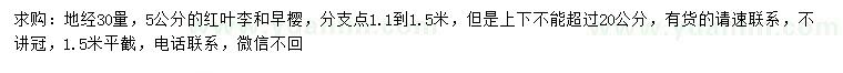 求購(gòu)30量5公分紅葉李、早櫻