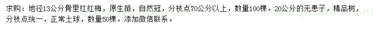 求購地徑13公分骨里紅紅梅、20公分無患子