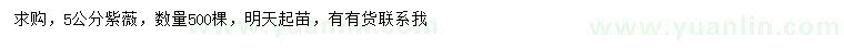 求購5公分紫薇