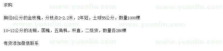 求購(gòu)金枝槐、法桐、國(guó)槐等