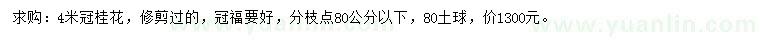 求購冠4米桂花