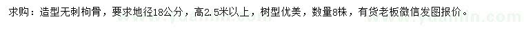 求購地徑18公分造型無刺枸骨