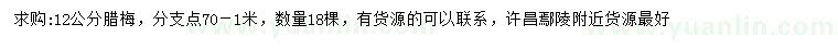 求購(gòu)12公分臘梅