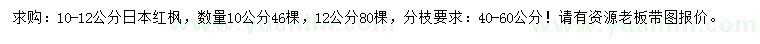 求購10、12公分日本紅楓