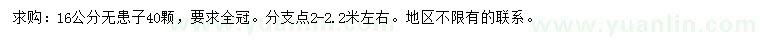 求購16公分無患子