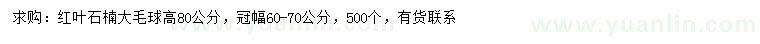 求購冠幅60-70公分紅葉石楠球
