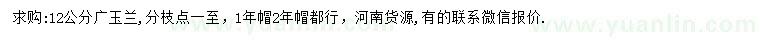 求購(gòu)12公分廣玉蘭