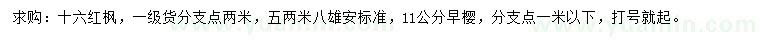 求購(gòu)16公分紅楓、11公分早櫻