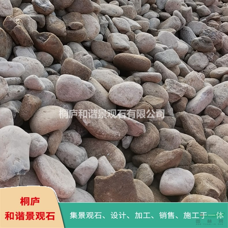 和諧景觀石產(chǎn)地直銷(xiāo)鵝卵石 五彩雨花石 奇石