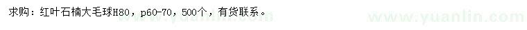 求購(gòu)高80公分紅葉石楠球