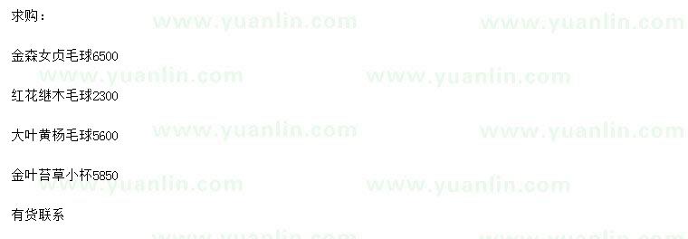 求購金森女貞球、紅花繼木球、大葉黃楊球等