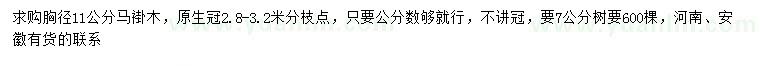 求購(gòu)胸徑11公分馬褂木