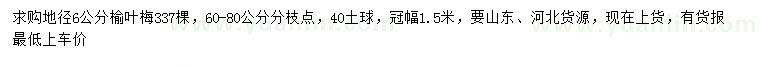 求購地徑6公分榆葉梅