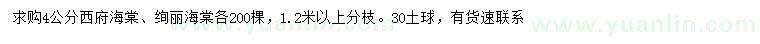 求購4公分西府海棠、絢麗海棠