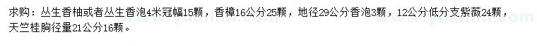 求購叢生香柚、叢生香泡、香樟等