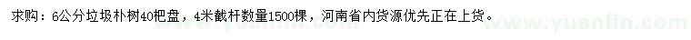 求購胸徑6公分樸樹