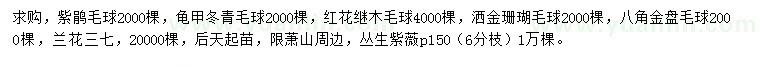 求購紫鵑球、龜甲冬青球、紅花繼木球等