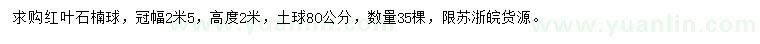求購冠幅2.5米紅葉石楠球