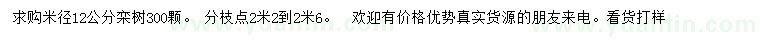求購米徑12公分欒樹