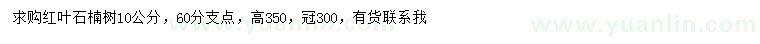求購(gòu)10公分紅葉石楠