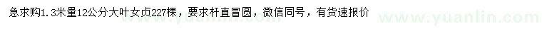 求購1.3米量12公分大葉女貞