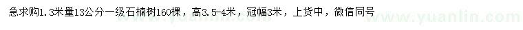 求購1.3米量13公分石楠樹
