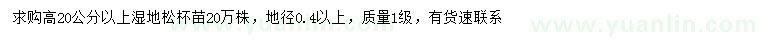 求購(gòu)高20公分以上濕地松