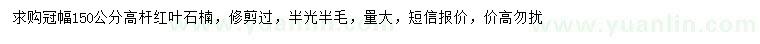 求購冠幅150公分高桿紅葉石楠 