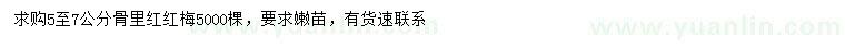 求購(gòu)5-7公分骨里紅紅梅