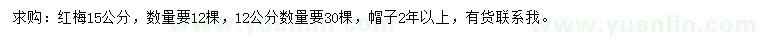 求購12、15公分紅梅